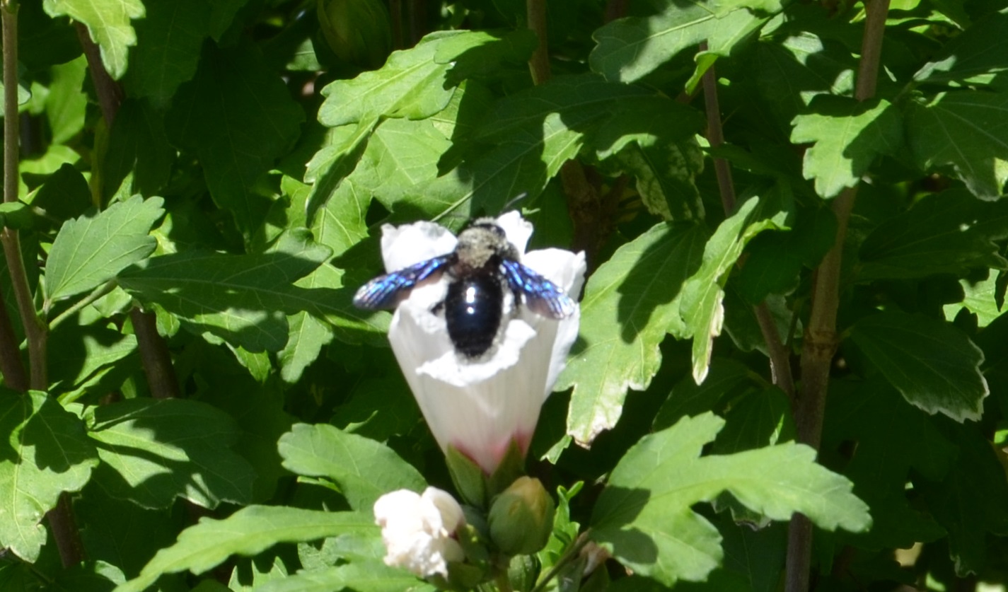 No s'ha trobat l'arxiu